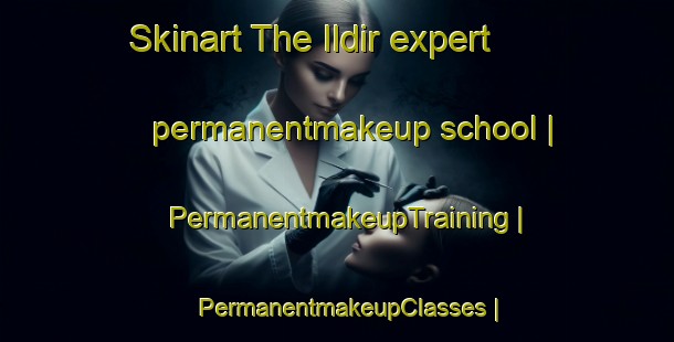 Skinart The Ildir expert permanentmakeup school | PermanentmakeupTraining | PermanentmakeupClasses | SkinartTraining-Turkey